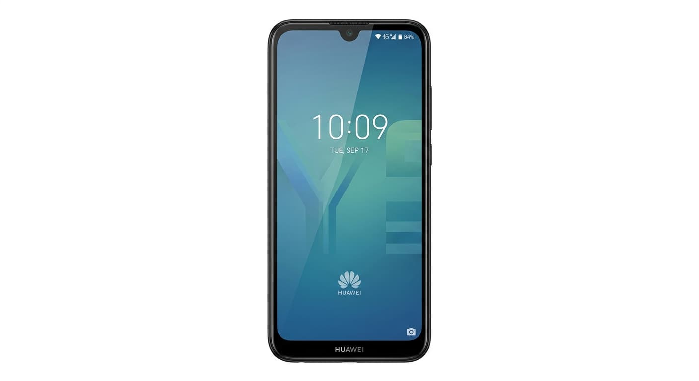 Y6 2019